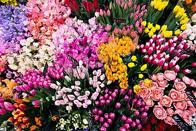 《枪火重生》DLC“古木灵歌”10月23日携第六赛季上线，全新英雄武器来袭