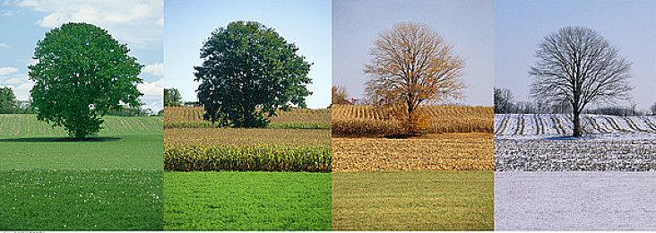 死亡空间重制版欧洲前两周销量不及木卫四协议